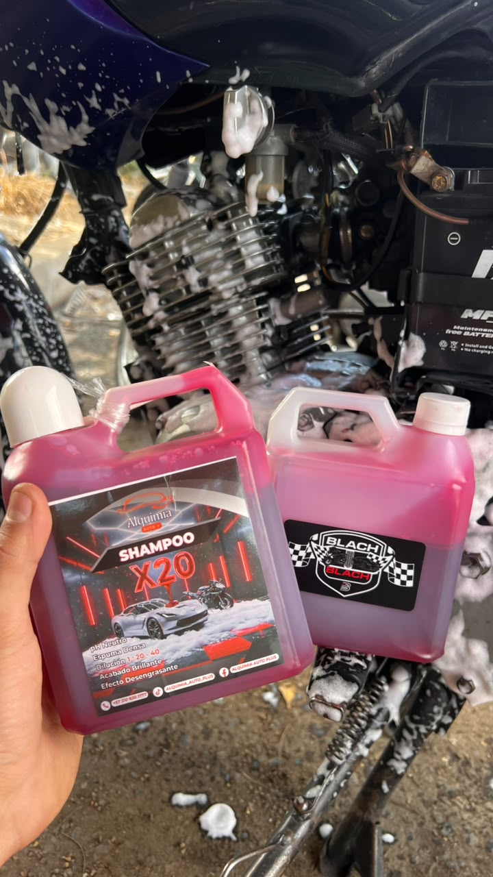 SHAMPOO x 1L Alquimia - Limpieza profunda ✅ - Blach Blach